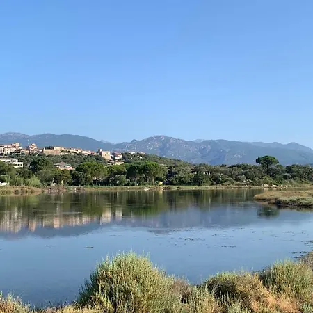 4 Pers Terrasse Vue Salines De Vecchio Centre A Pied * 维琪奥港
