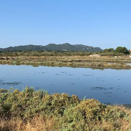Apartamento F2 Vecchio Vue Sur Les Salines