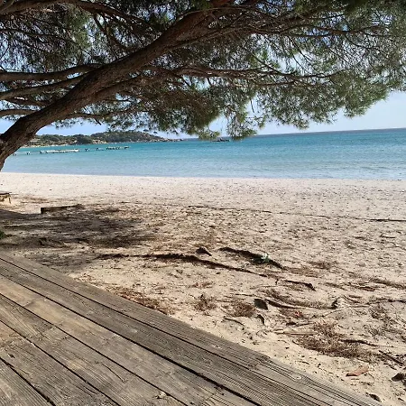 F2 Vecchio Vue Sur Les Salines Porto-Vecchio (Corsica)