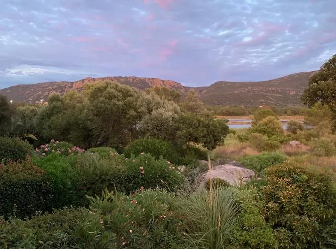 Appartement F2 Vecchio Vue Sur Les Salines